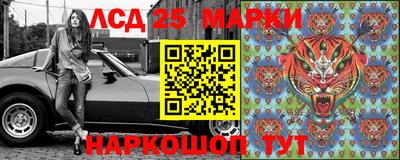 СК Ставрополь