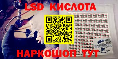 СК Ставрополь