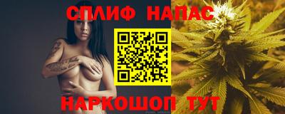 СК Ставрополь